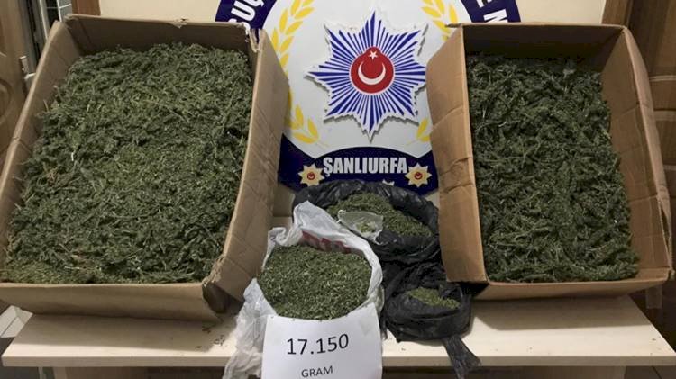 Şanlıurfa'da Uyuşturucu Taciri 17 Kilo Esrar ile İninde Yakalandı