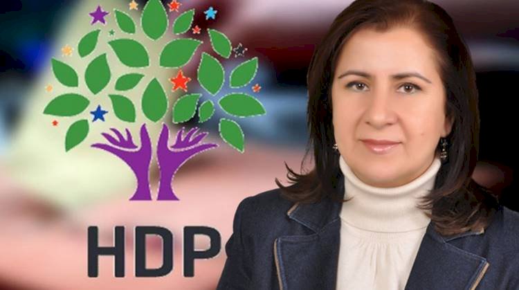 HDP'li Eski Başkan Nilüfer Elik Yılmaz Tutuklandı
