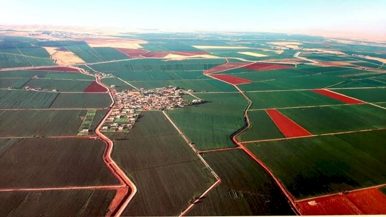 DSİ, Şanlıurfa ve Mardin'de tapulaştırılan arazileri açıkladı