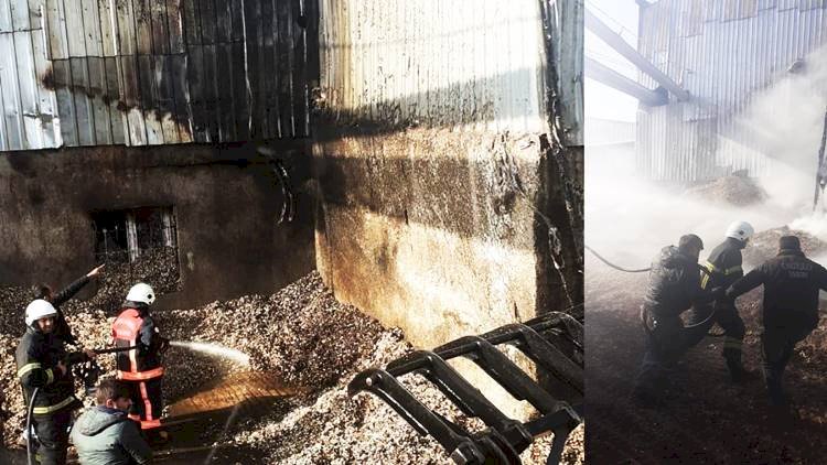Akçakale'de pamuk fabrikasında yangın çıktı