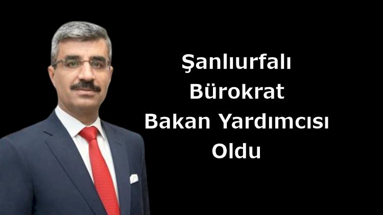 Urfalı bürokrat Mehmet Selim Bağlı, bakan yardımcısı oldu