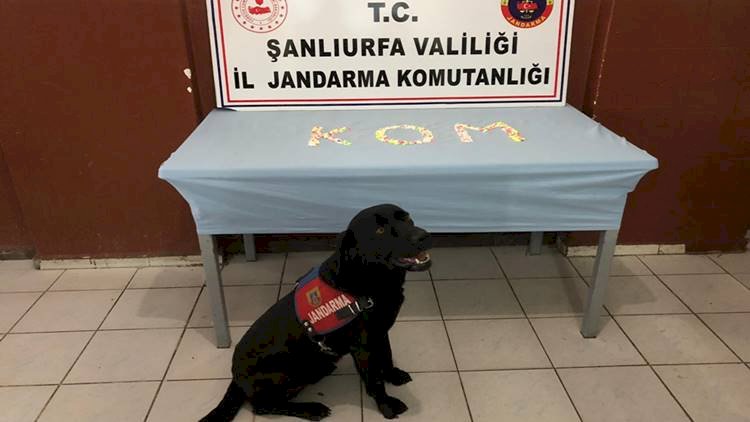 Şanlıurfa'da Uyuşturucu Operasyonu Bir Kişi Gözaltına Alındı