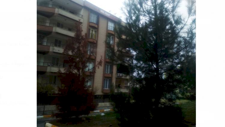 Şanlıurfa'da Kuruyan Ağaçların Sırrı Çözülemiyor