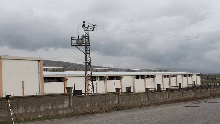 Bir Tosuncuk Vakası Daha / Bu Defa Yer Diyarbakır