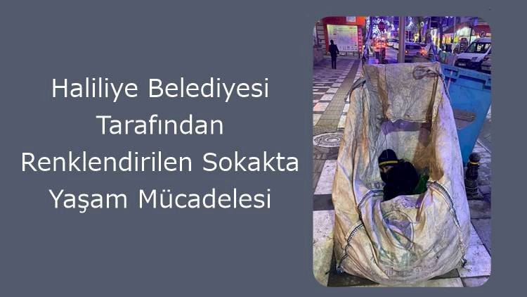 Haliliye Belediyesi Tarafından Renklendirilen Sokakta Yaşam Mücadelesi