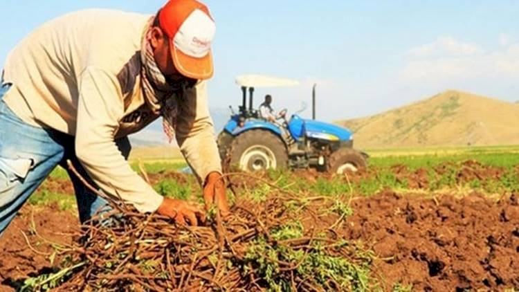 Kredisini Ödeyemeyen Çiftçilere Müjde Yapılandırma Geliyor
