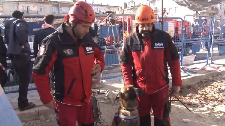 Eğitimli Köpek Altar, 5 Kişiyi Enkazdan Kurtardı