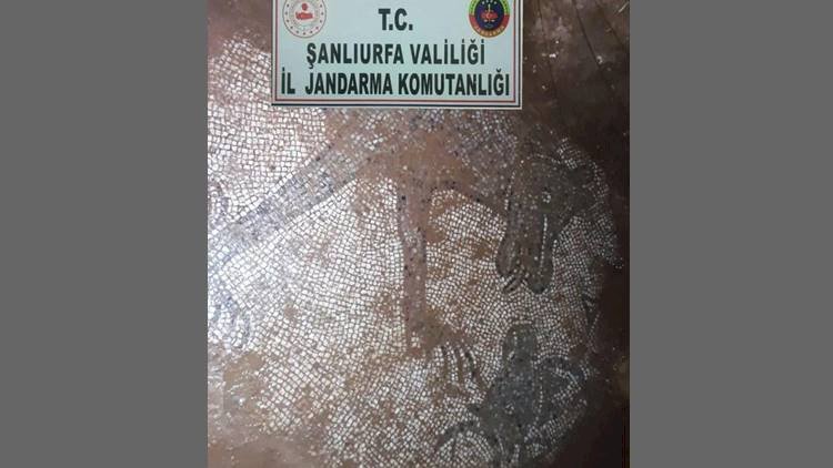 Şanlıurfa'da Defineciler İzinsiz Kazıda Tarihi Mozaik Buldu