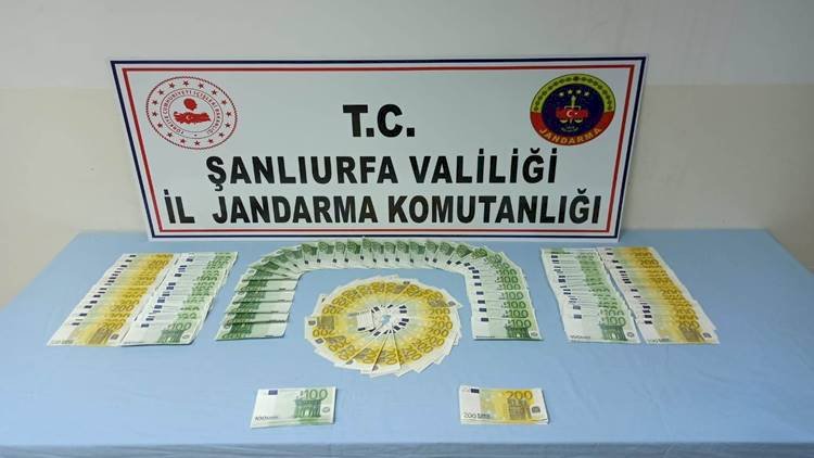 Urfa'da Kalpazanlık ve Tarihi Eser Operasyonu