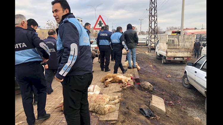 Viranşehir'de Zabıta Kaçak Kasaplara Geçit Vermedi