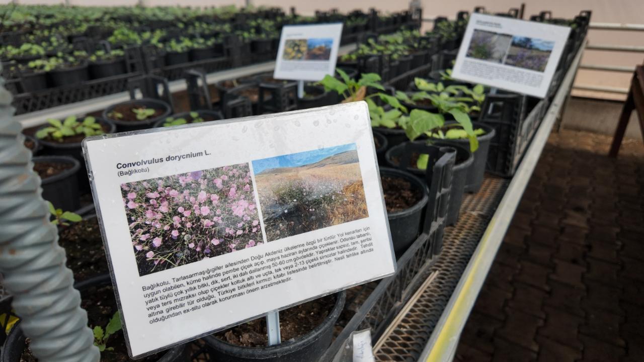 Büyükşehir Belediyesi’nden kurakçıl peyzaj projesine destek