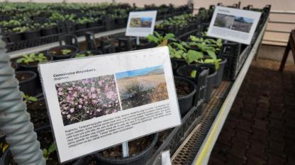 Büyükşehir Belediyesi’nden kurakçıl peyzaj projesine destek