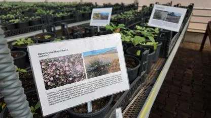 Büyükşehir Belediyesi’nden kurakçıl peyzaj projesine destek