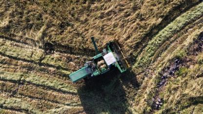 Karacadağ pirincinin üretim alanı devlet desteğiyle artıyor