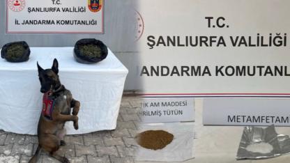 Şanlıurfa’da 4 ilçede eş zamanlı operasyon
