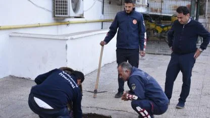 Şanlıurfa'da tahliye borusuna sıkışan yavru kedi  kurtarıldı