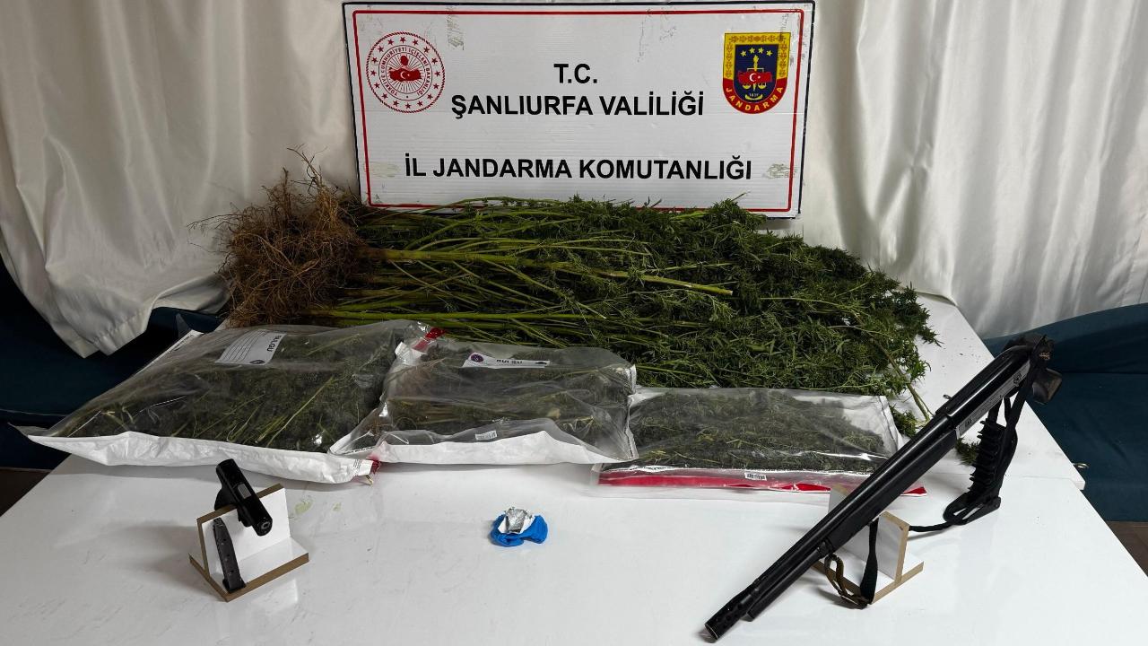 Şanlıurfa'da uyuşturucu operasyonu: 4 şüpheli yakalandı