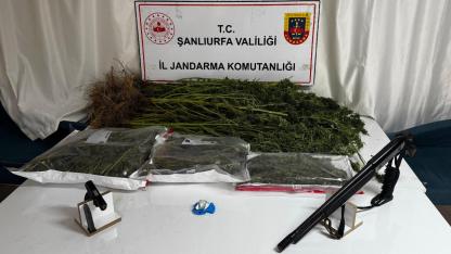 Şanlıurfa'da uyuşturucu operasyonu: 4 şüpheli yakalandı