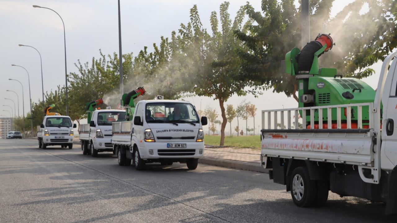Büyükşehir, vektörle mücadele çalışmalarına devam ediyor