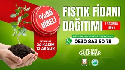 Şanlıurfa’da çiftçiye hibeli fıstık fidanı desteği başladı