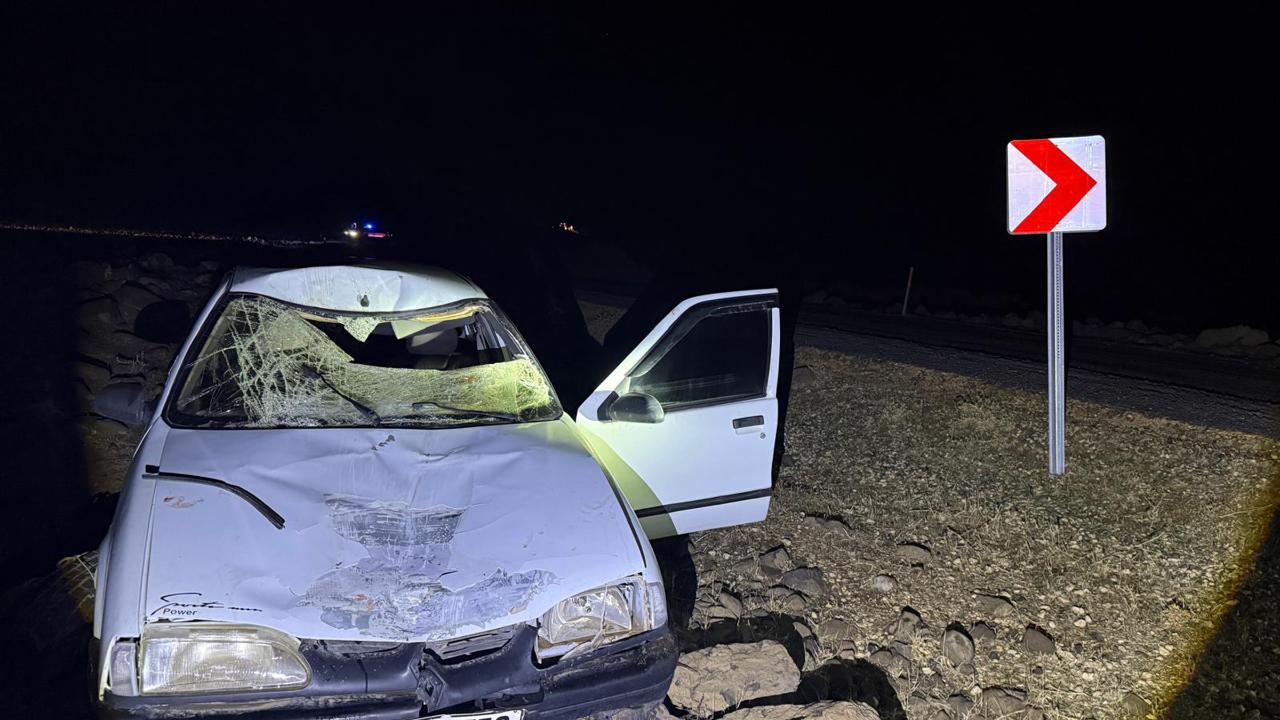 Şanlıurfa&#039;da eşeğe çarpan otomobil sürücüsü yaralandı