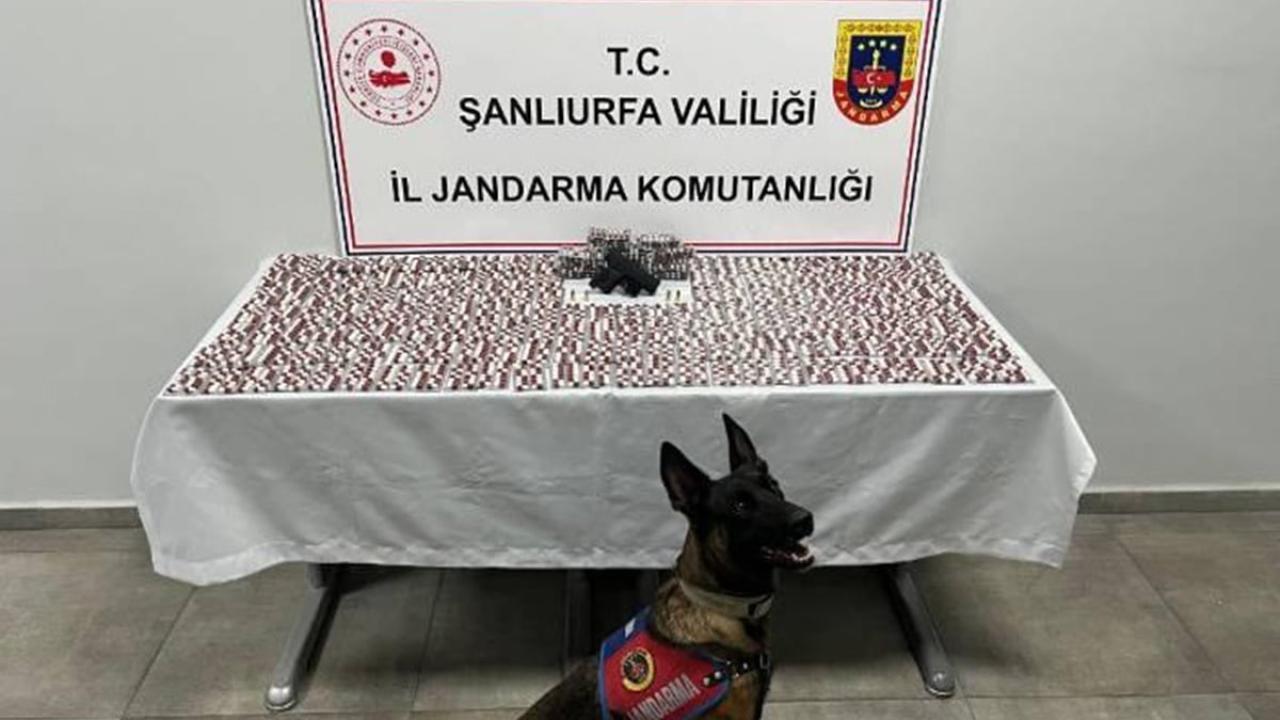 Şanlıurfa’da narkotik operasyon: 2 gözaltı