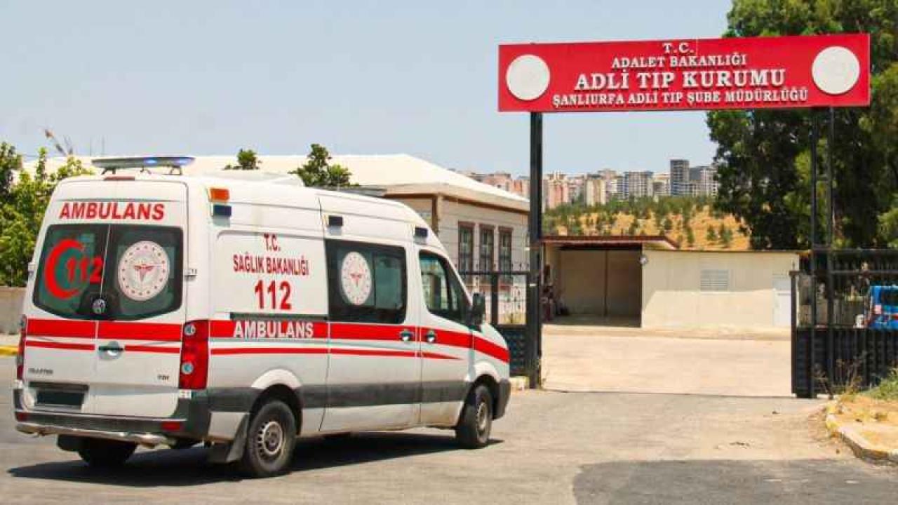 Şanlıurfa&#039;da otomobilin çarptığı kadın hayatını kaybetti