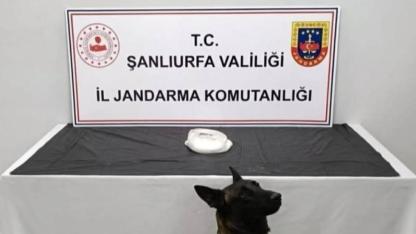 Şanlıurfa'da uyuşturucu operasyonu: 2 gözaltı