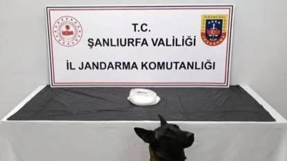 Şanlıurfa'da uyuşturucu operasyonu: 2 gözaltı