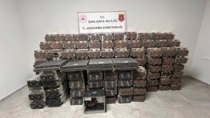 Ahır görünümünde tesis kurup kaçak elektrikle kripto para imal etmişler