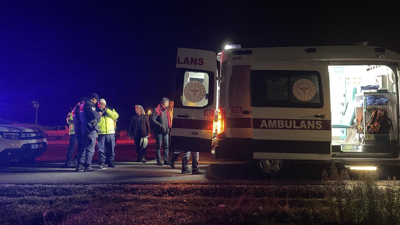 Diyarbakır-Şanlıurfa karayolunda minibüsün çarptığı kişi öldü