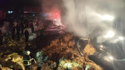 Eyyübiye'de hayvan çiftliğinde yangın: Tonlarca saman kül oldu