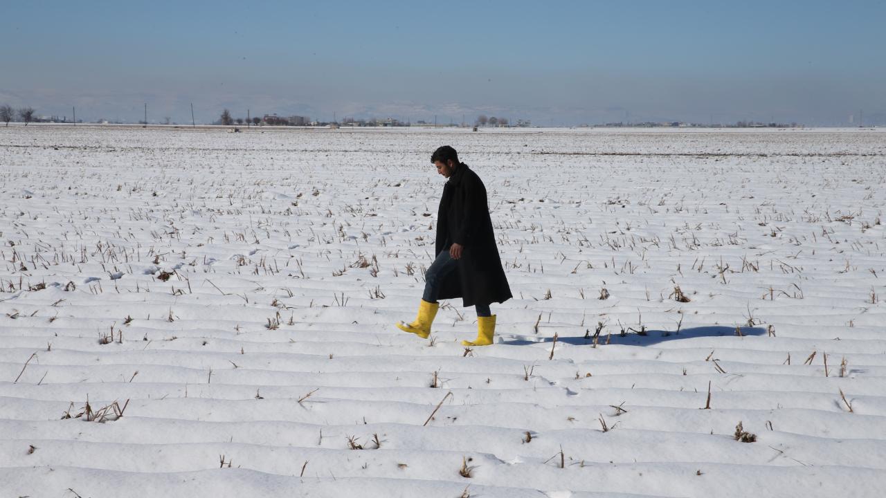 Şanlıurfa'da etkili olan kar yağışı çiftçiye umut oldu