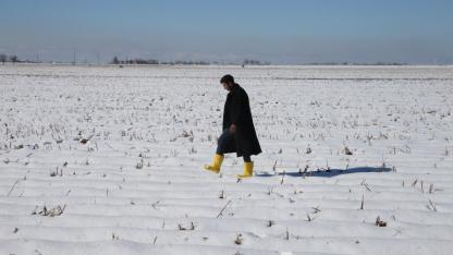 Şanlıurfa'da etkili olan kar yağışı çiftçiye umut oldu