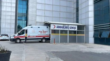 Şanlıurfa'da hafif ticari araç devrildi: 2 yaralı