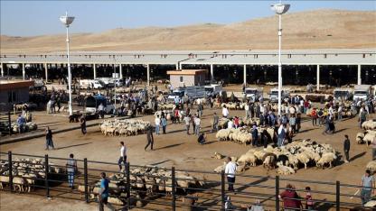Şanlıurfa’da hayvan pazarı 2 gün boyunca kapalı kalacak