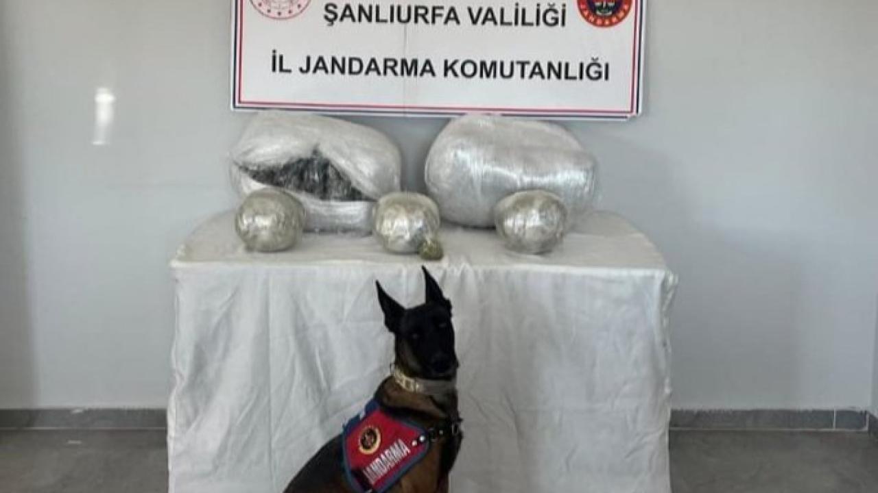 Şanlıurfa&#039;da uyuşturucu operasyonu: 1 şüpheli yakalandı