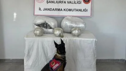 Şanlıurfa'da uyuşturucu operasyonu: 1 şüpheli yakalandı