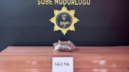 Şanlıurfa'da uyuşturucu operasyonunda yakalanan zanlı tutuklandı