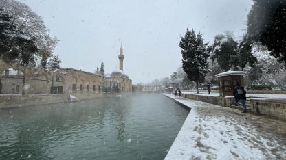 Şanlıurfa'daki tarihi Balıklıgöl beyaza büründü