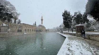 Şanlıurfa'daki tarihi Balıklıgöl beyaza büründü