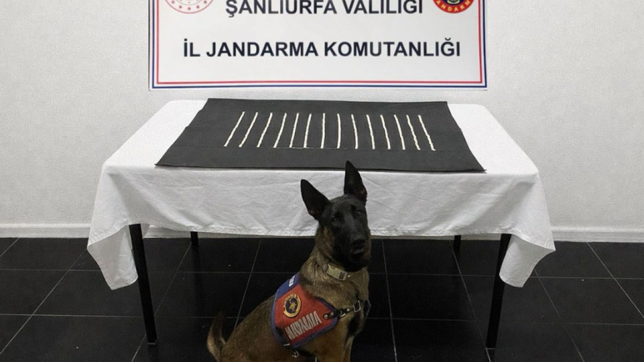Harran’da uyuşturucu operasyonu: 2 gözaltı