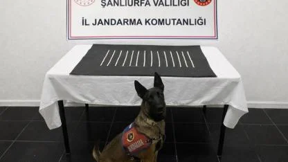 Harran’da uyuşturucu operasyonu: 2 gözaltı