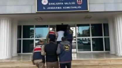 Şanlıurfa’da dolandırıcılık operasyonu: 2 tutuklama