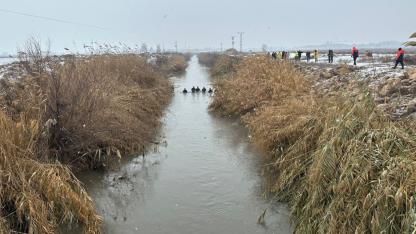Şanlıurfa'da otomobil sürücüsünün arama çalışmaları 4. gününde sürüyor