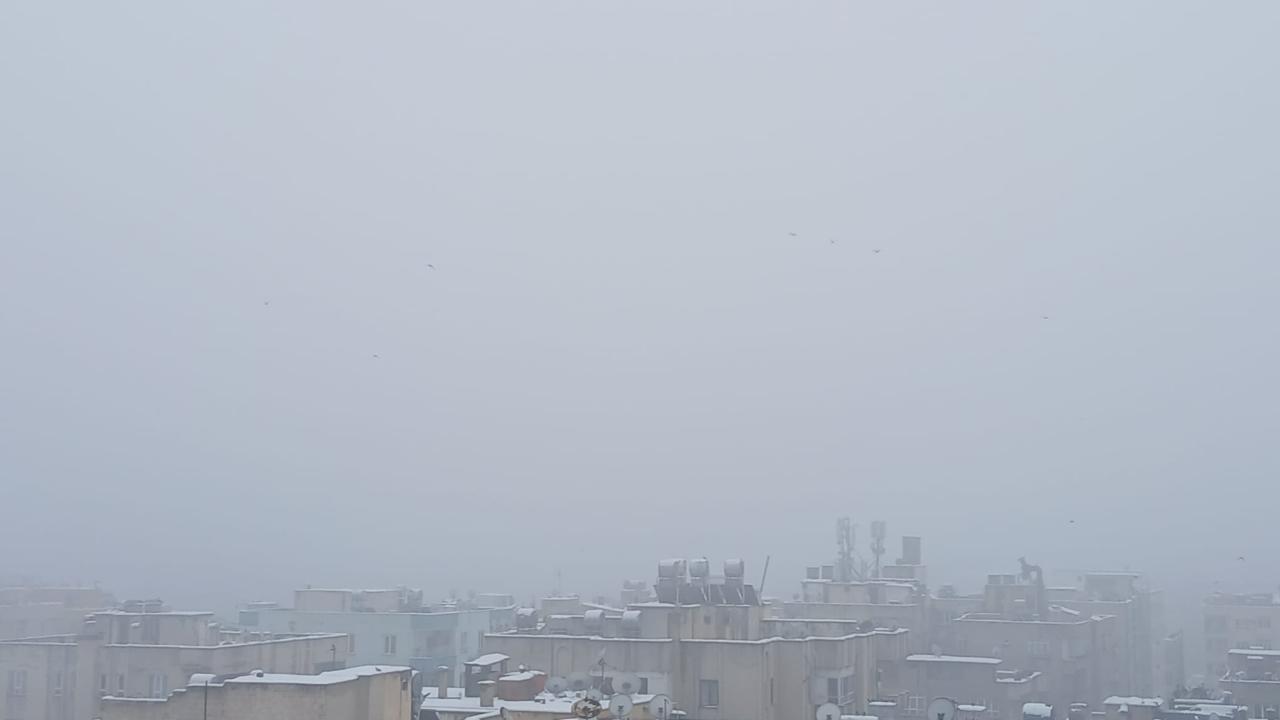 Şanlıurfa’da yoğun sis etkili oluyor