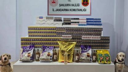 Viranşehir’de 35 şüpheli şahıs hakkında işlem başlatıldı