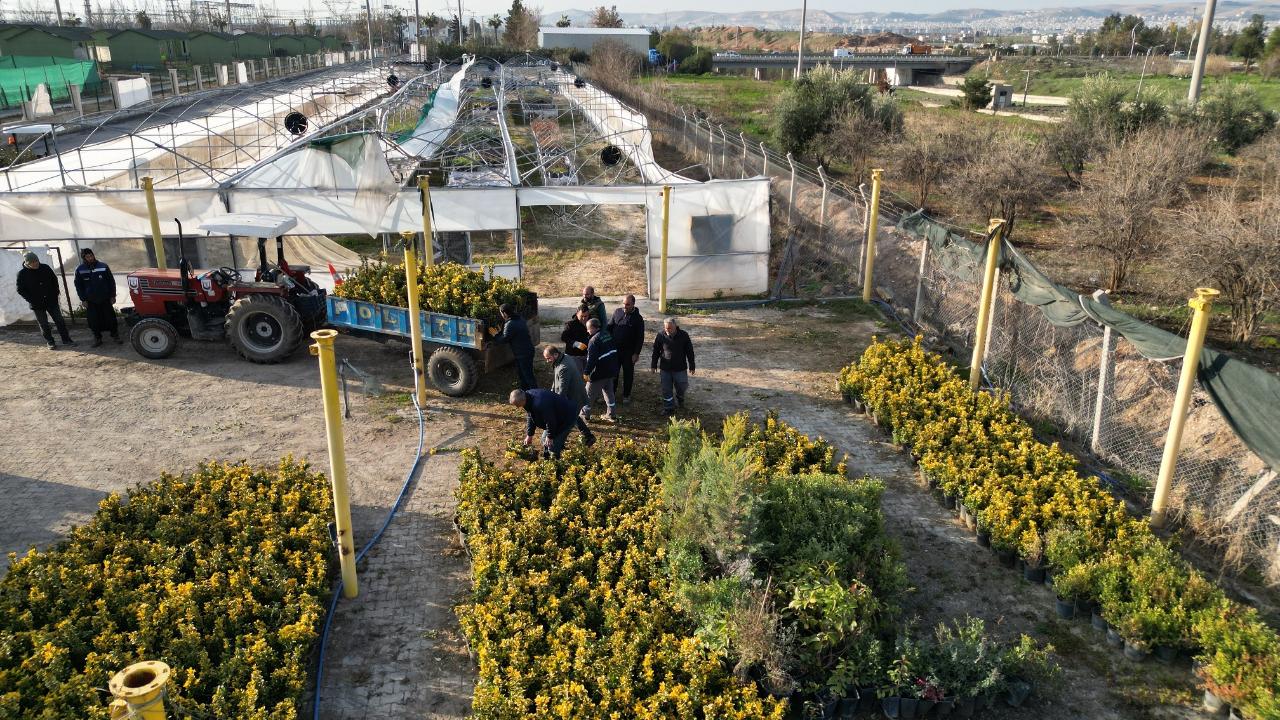 Büyükşehir, ağaç ve bitki dikimlerini hızlandırdı
