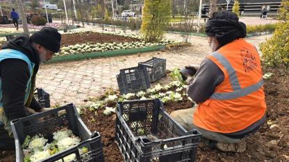 Eyyübiye yeşil alanları bahara hazırlanıyor