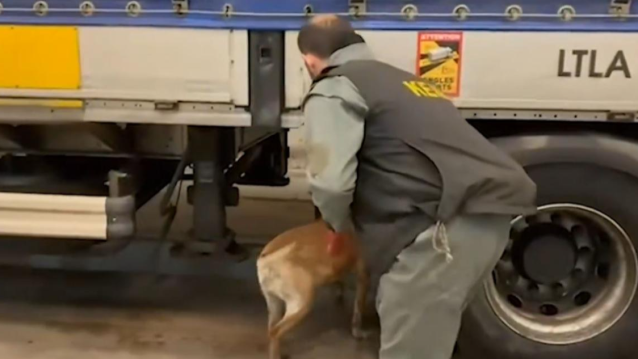 Şanlıurfa dahil 75 ilde narkotik operasyonu: 958 kilo uyuşturucu ele geçirildi